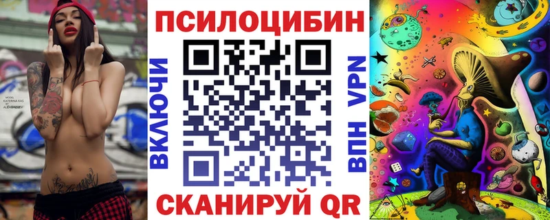 Купить закладки  Бокситогорск  Псилоцибиновые грибы Magic Shrooms 