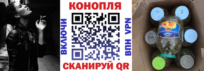 Купить где Бокситогорск Конопля семена
